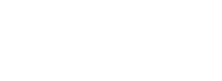 Ana Paula Amado Logo